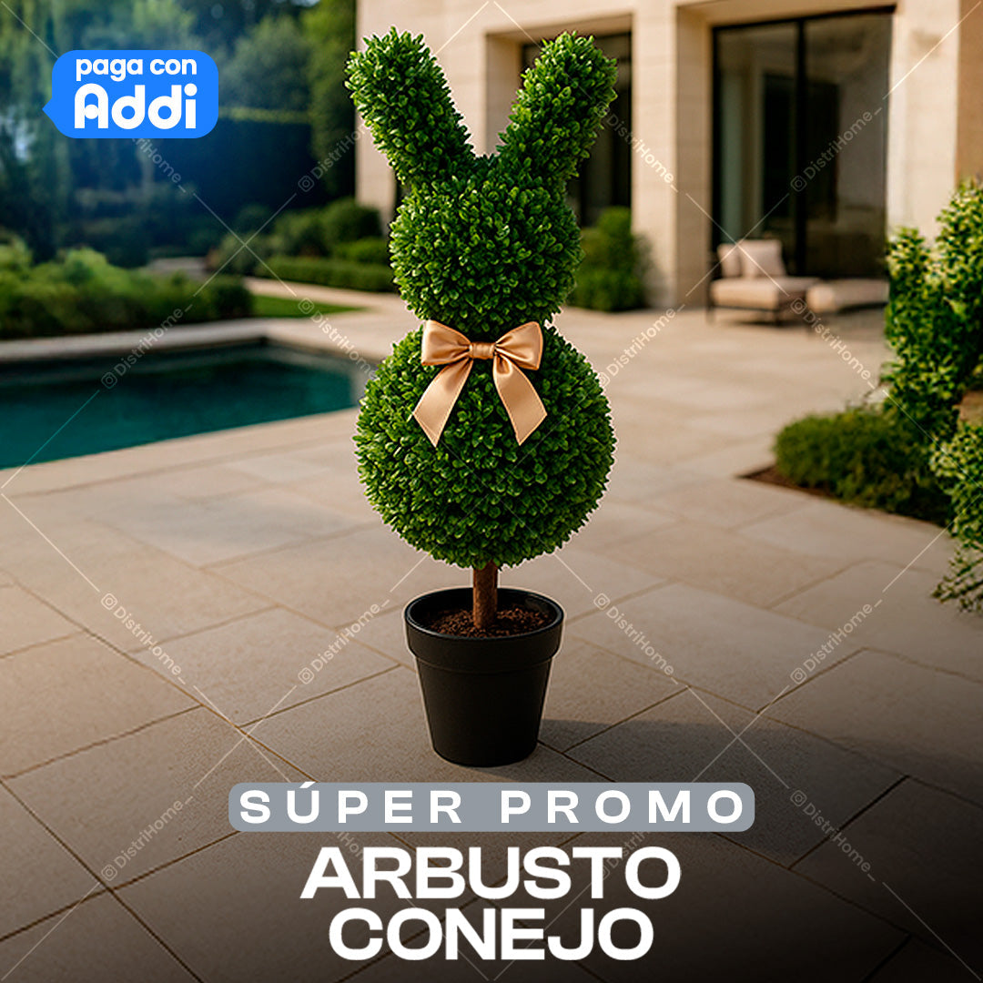 ARBUSTO CONEJO