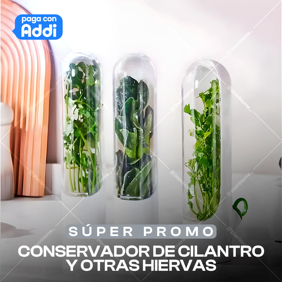 CONSERVADOR DE CILANTRO Y OTRAS HIERVAS